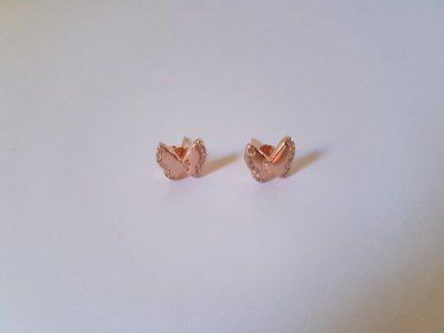 Pendientes Aristo ASS925-0159.R